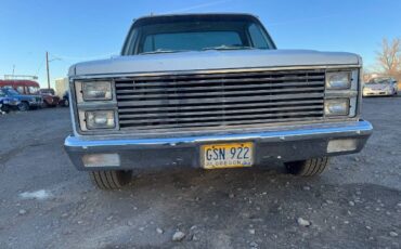Gmc-Sierra-1981-White-Green-12