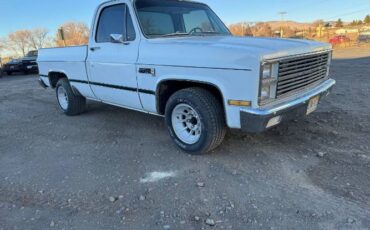 Gmc-Sierra-1981-White-Green-13