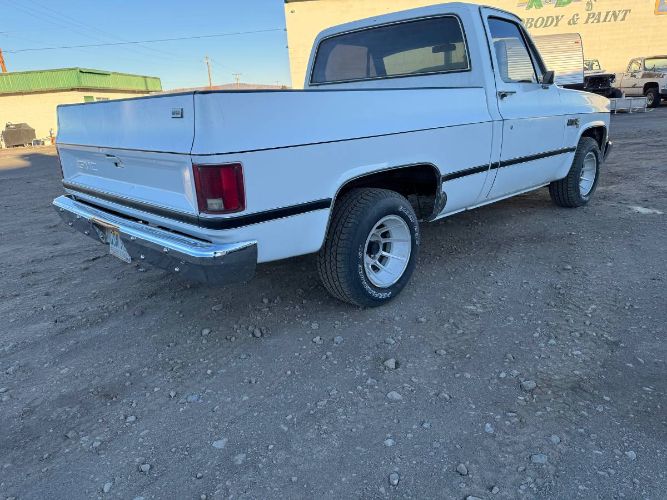 Gmc-Sierra-1981-White-Green-14