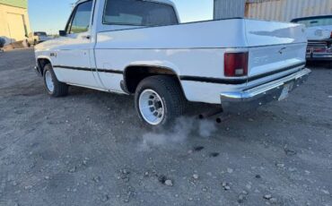 Gmc-Sierra-1981-White-Green-15