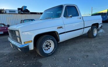 Gmc-Sierra-1981-White-Green-16