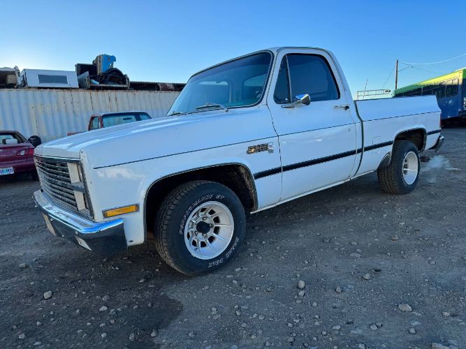 Gmc-Sierra-1981-White-Green-16