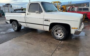 Gmc-Sierra-1981-White-Green-17