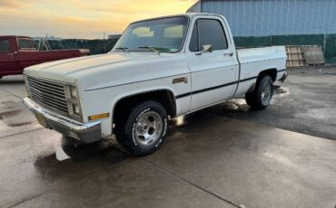 Gmc-Sierra-1981-White-Green