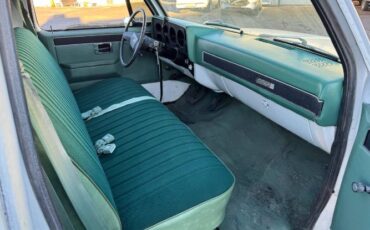Gmc-Sierra-1981-White-Green-7