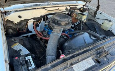 Gmc-Sierra-1981-White-Green-9