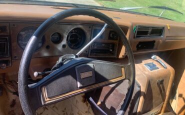 Gmc-chevrolet-van-1977-brown-7