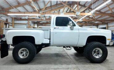 Gmc-ck-1500-1982-white-13