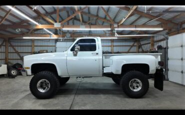 Gmc-ck-1500-1982-white-19