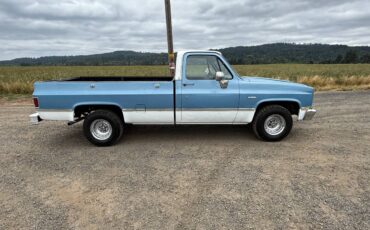 Gmc-ck-pickup-12-ton-1984-blue-14