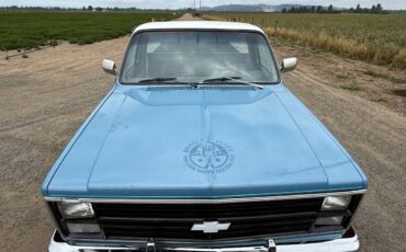 Gmc-ck-pickup-12-ton-1984-blue-16
