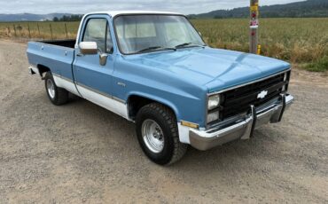 Gmc-ck-pickup-12-ton-1984-blue-6