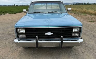 Gmc-ck-pickup-12-ton-1984-blue-7