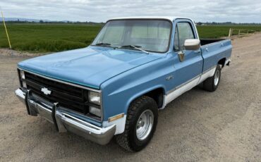 Gmc-ck-pickup-12-ton-1984-blue-8
