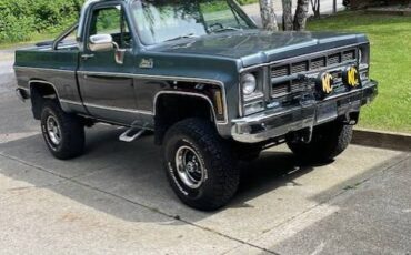 Gmc-k1500-sierra-classic-1979-10
