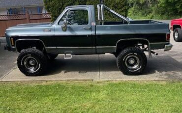 Gmc-k1500-sierra-classic-1979-5