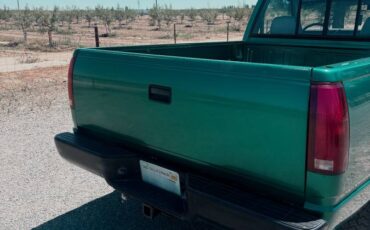 Gmc-sierra-12-ton-1995-green-3