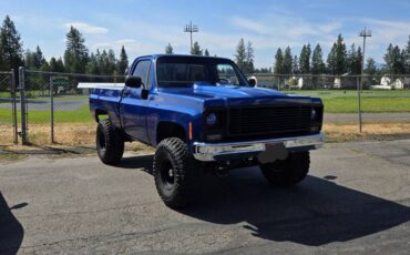 Gmc-sierra-1500-1979-blue-1