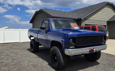 Gmc-sierra-1500-1979-blue-3