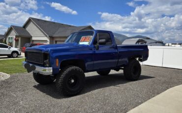 Gmc-sierra-1500-1979-blue