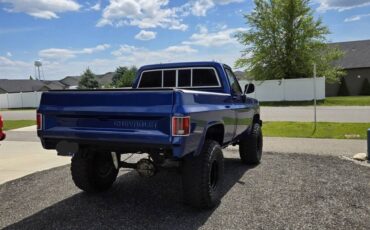 Gmc-sierra-1500-1979-blue-4