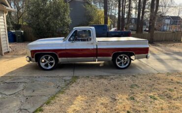 Gmc-sierra-1500-1979-silver