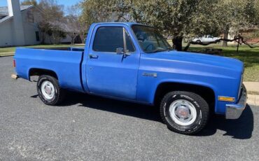 Gmc-sierra-1500-1982-blue
