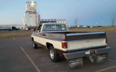 Gmc-sierra-1500-classic-1980-custom