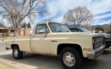 Gmc-sierra-1981-brown-1