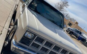 Gmc-sierra-1981-brown-2