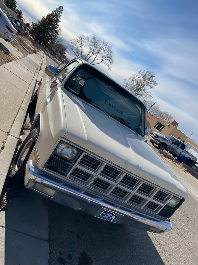 Gmc-sierra-1981-brown-2
