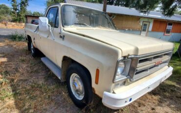 Gmc-sierra-c25-1976