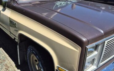 Gmc-sierra-classic-1500-1985-brown-3