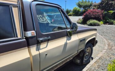 Gmc-sierra-classic-1500-1985-brown-4