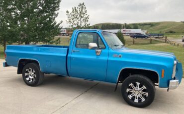 Gmc-sierra-grande-1500-1980-blue-7