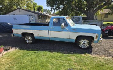 Gmc-sierra-grande-1975-blue-15