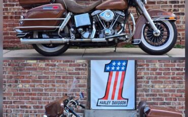 Harley-Davidson-AMF-FLH-1200-Electra-Glide-Classic-1977-1