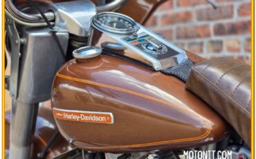 Harley-Davidson-AMF-FLH-1200-Electra-Glide-Classic-1977-14