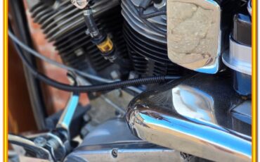 Harley-Davidson-AMF-FLH-1200-Electra-Glide-Classic-1977-16