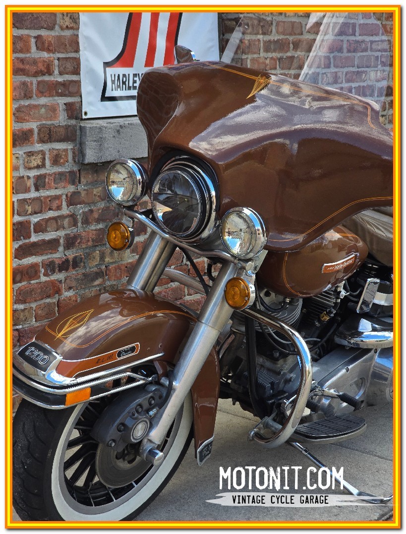 Harley-Davidson-AMF-FLH-1200-Electra-Glide-Classic-1977-17