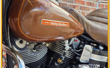 Harley-Davidson-AMF-FLH-1200-Electra-Glide-Classic-1977-18