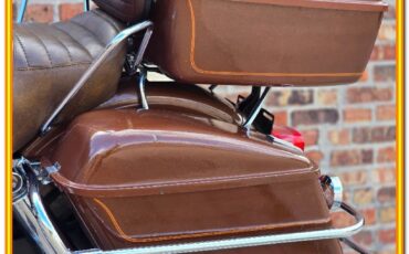 Harley-Davidson-AMF-FLH-1200-Electra-Glide-Classic-1977-19