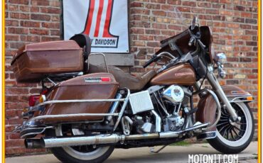 Harley-Davidson-AMF-FLH-1200-Electra-Glide-Classic-1977-29
