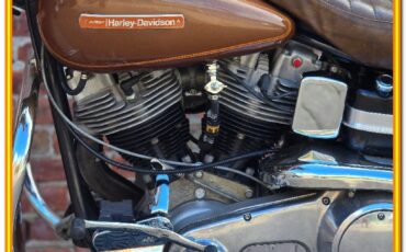 Harley-Davidson-AMF-FLH-1200-Electra-Glide-Classic-1977-3