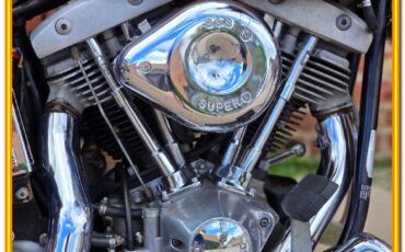 Harley-Davidson-AMF-FLH-1200-Electra-Glide-Classic-1977-32