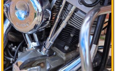 Harley-Davidson-AMF-FLH-1200-Electra-Glide-Classic-1977-33