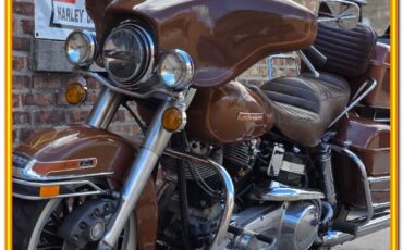 Harley-Davidson-AMF-FLH-1200-Electra-Glide-Classic-1977-6
