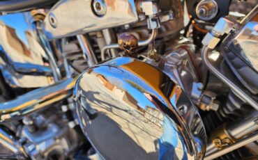 Harley-Davidson-Custom-1967-10