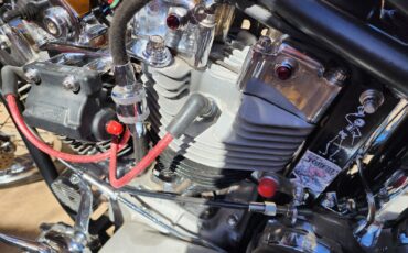 Harley-Davidson-Custom-1967-12