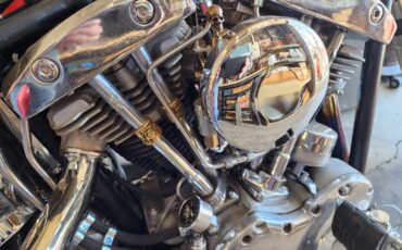 Harley-Davidson-Custom-1967-14